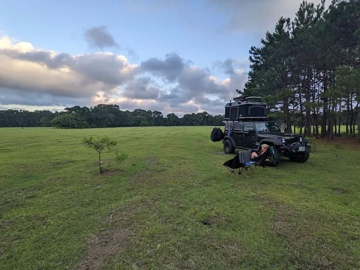Hanscombe Point Primitive camp ground Picture 5