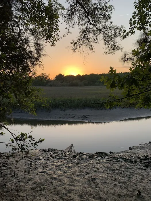 Hanscombe Point Primitive camp ground Picture 4