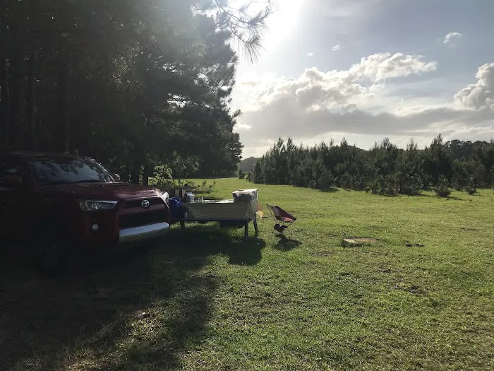 Hanscombe Point Primitive camp ground Picture 6