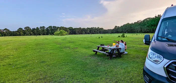 Hanscombe Point Primitive camp ground Picture 7