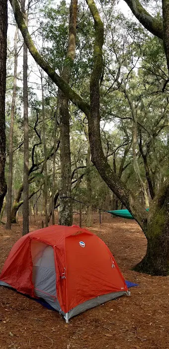 Hanscombe Point Primitive camp ground Picture 8
