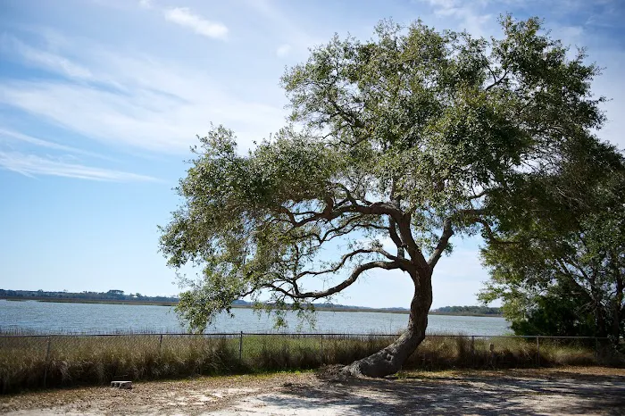 Sea Islands Camp & Retreat Center Picture 5