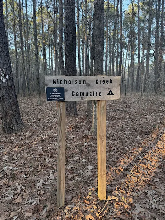 Nicholson Creek Campsite Picture 3