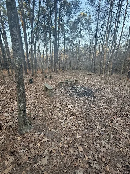 Nicholson Creek Campsite Picture 1