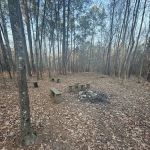 Nicholson Creek Campsite