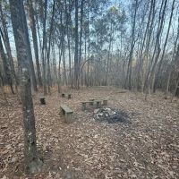 Nicholson Creek Campsite ico