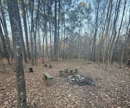 Nicholson Creek Campsite