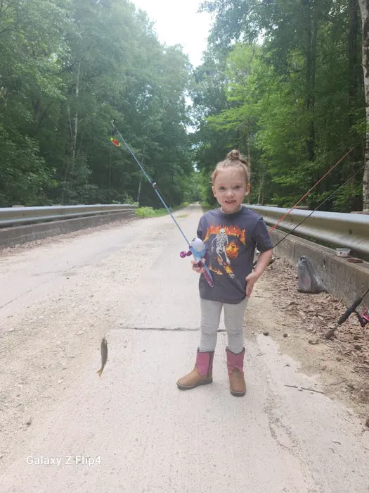 Nicholson Creek Campsite Picture 2