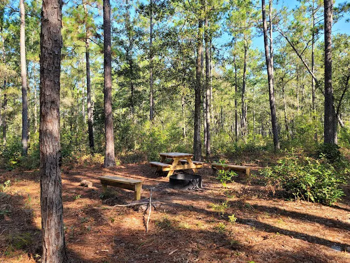 Harleson Dam Campsite Picture 3