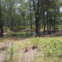 Harleson Dam Campsite ico