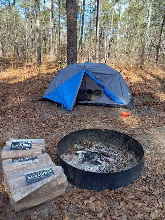 Harleson Dam Campsite Picture 2