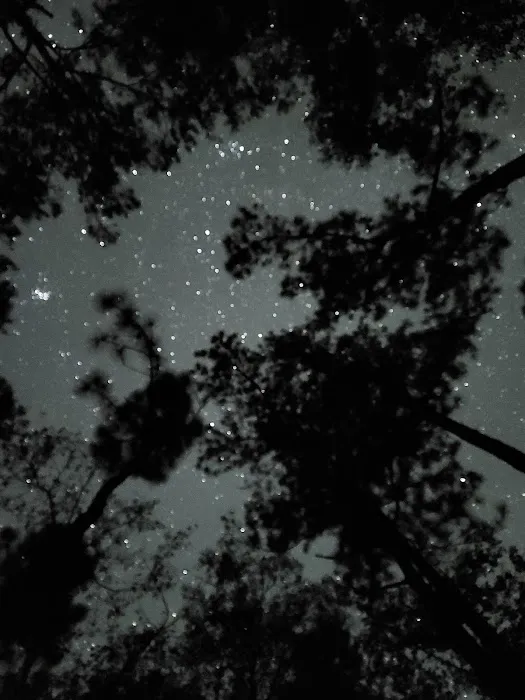 Harleson Dam Campsite Picture 6