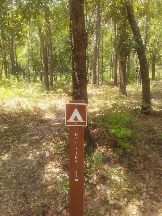 Harleson Dam Campsite Picture 7