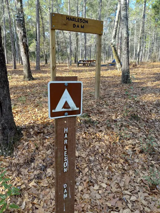Harleson Dam Campsite Picture 8