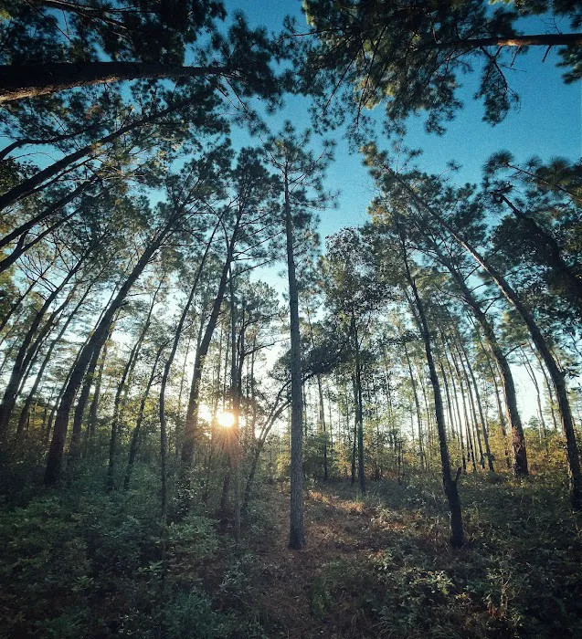 Halfway Creek Trailhead Picture 2