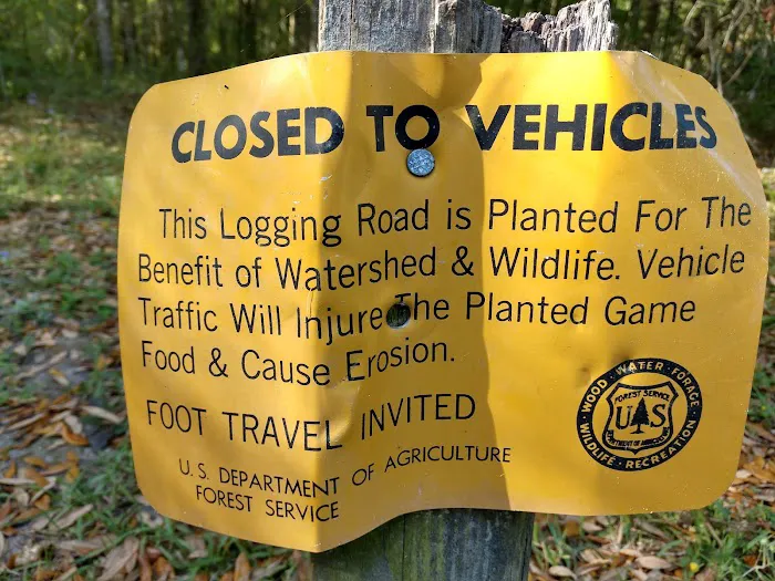 Halfway Creek Trailhead Picture 4