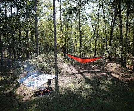 Halfway Creek Trailhead