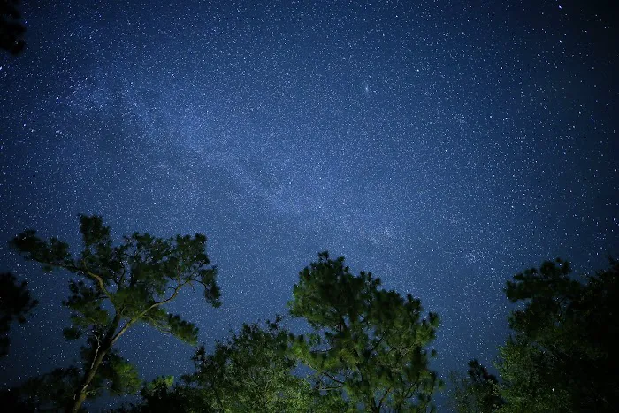 Halfway Creek Trailhead Picture 6