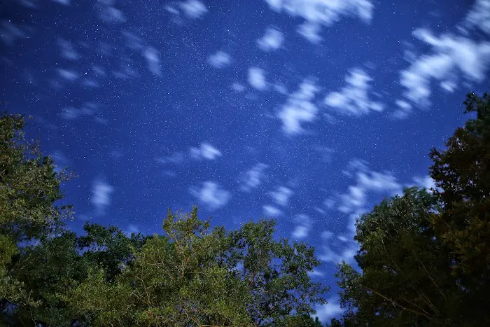 Halfway Creek Trailhead Picture 10