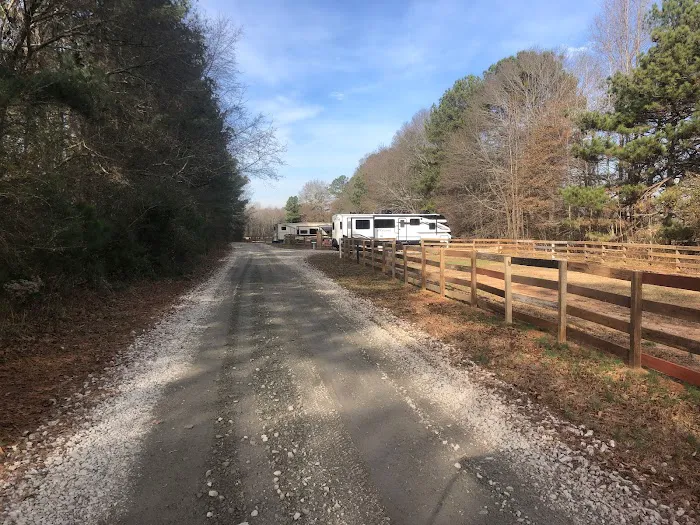 Lizardsniffer Picture 4