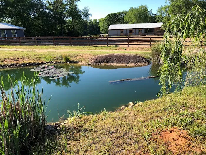 Lizardsniffer Picture 3