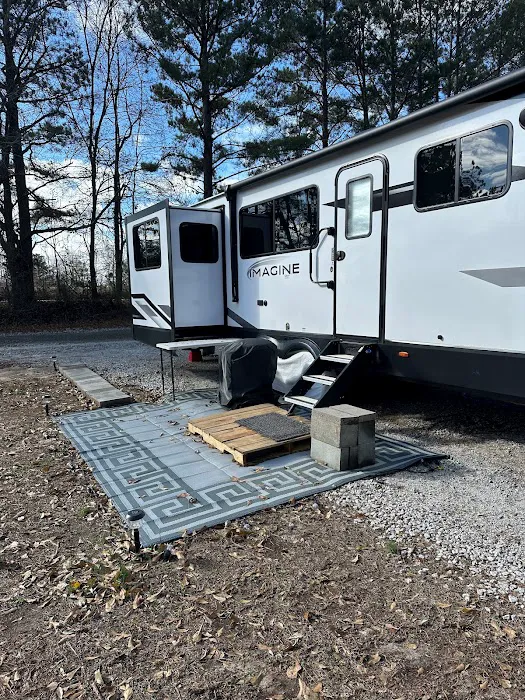 Lizardsniffer Picture 2