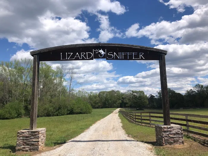 Lizardsniffer Picture 1