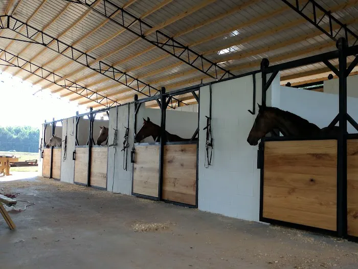 Lizardsniffer Picture 8