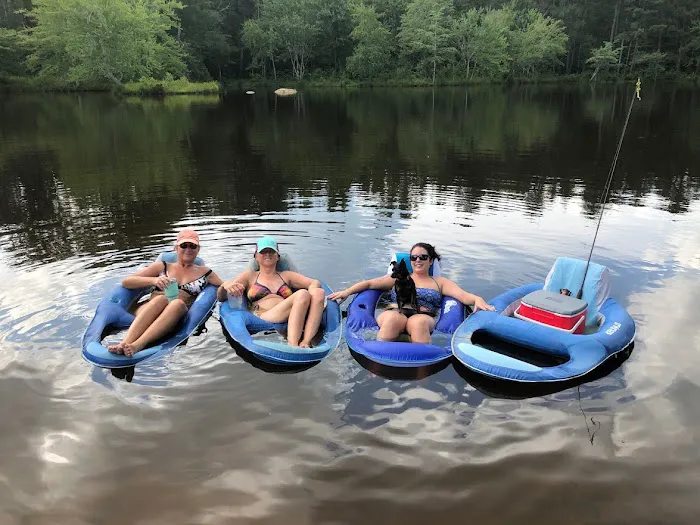 Lizardsniffer Picture 6