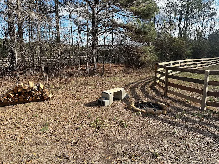 Lizardsniffer Picture 10