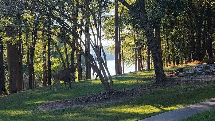 Parks Ferry Public Recreation Area Picture 8