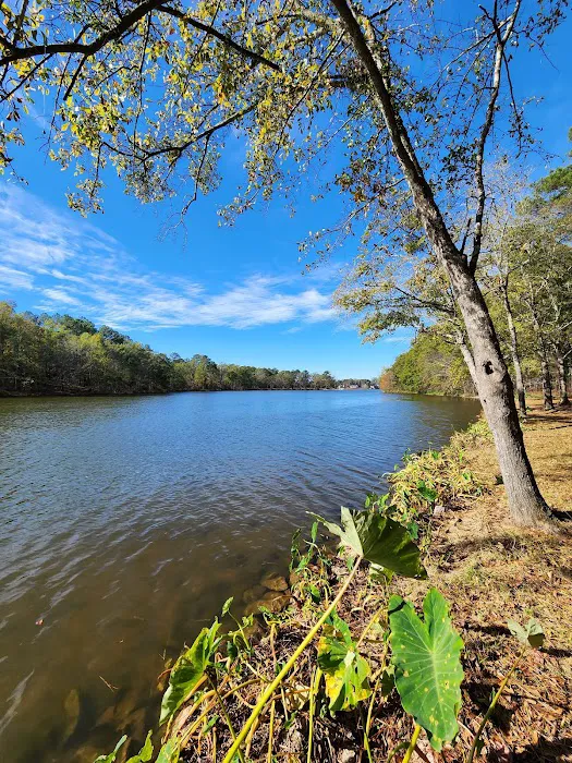 Parks Ferry Public Recreation Area Picture 7