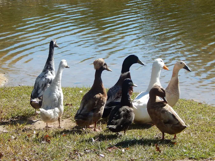 Leisure Acres Picture 7