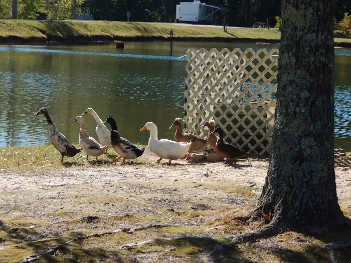 Leisure Acres Picture 10