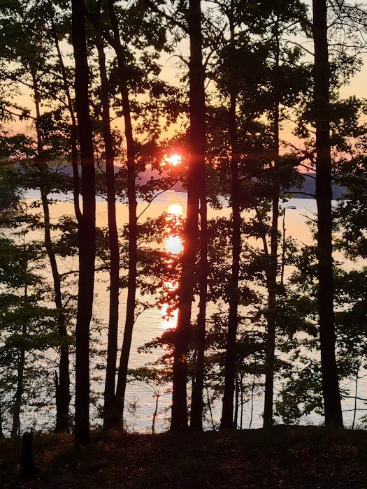 Campsite 19 Picture 5