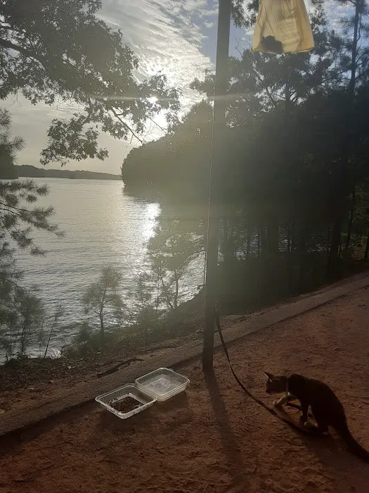 Duckett Mill Campground Picture 7