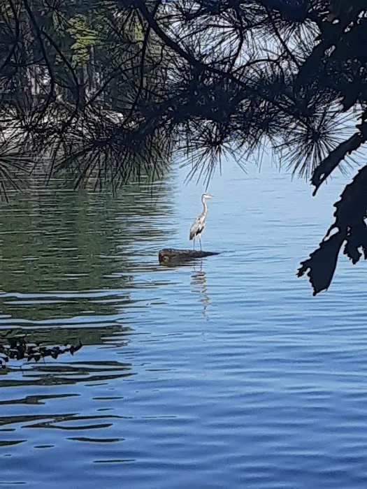 Duckett Mill Campground Picture 6