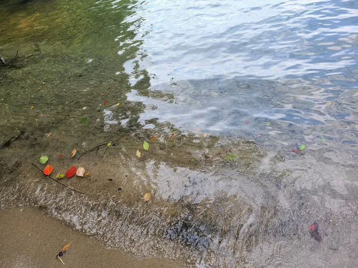 Duckett Mill Campground Picture 8