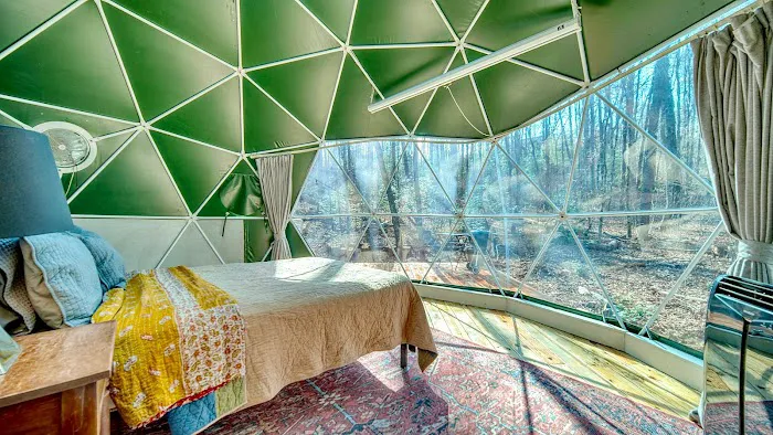 Farfalla Collective Picture 1