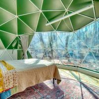 Farfalla Collective ico