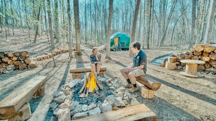 Farfalla Collective Picture 6