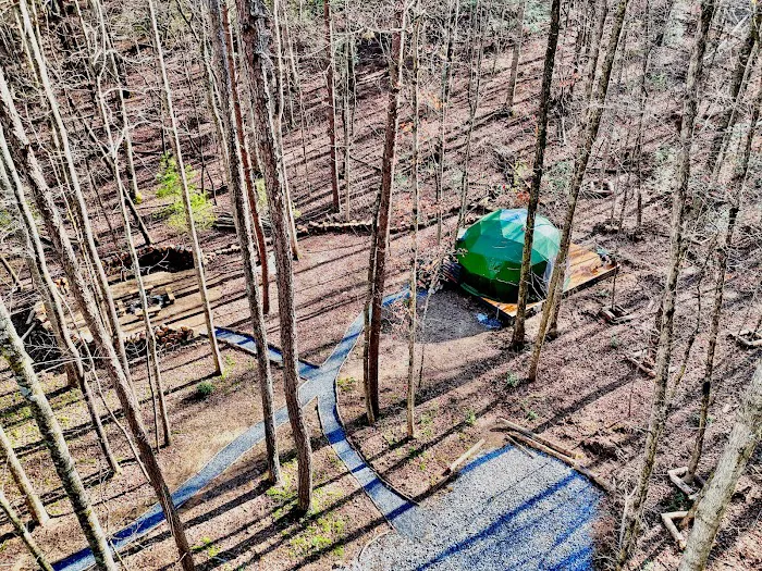 Farfalla Collective Picture 7