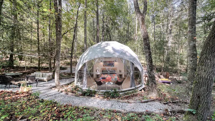 Farfalla Collective Picture 4