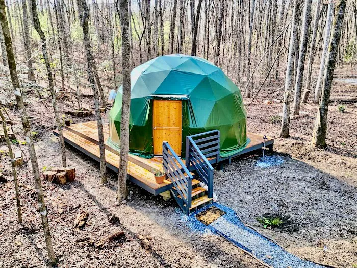 Farfalla Collective Picture 9