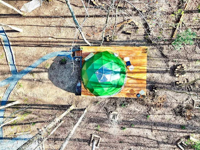 Farfalla Collective Picture 8