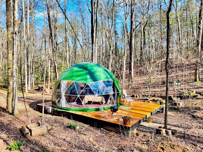 Farfalla Collective Picture 10