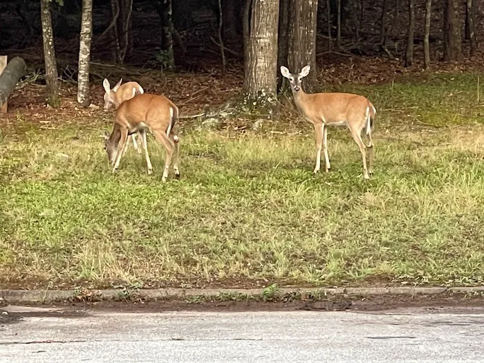 Bolding Mill Picture 10