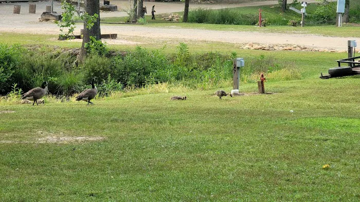 Lost Duchman Mining Assoc. Picture 4