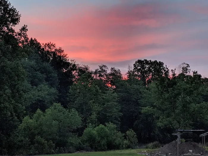 Lost Duchman Mining Assoc. Picture 5