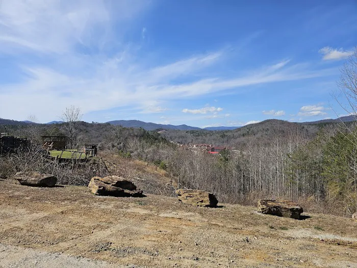 Nacoochee Cabins Picture 3